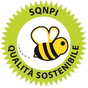 sqnpi produzione integrata