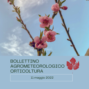 bollettino orti