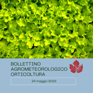 bollettino orti