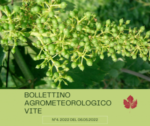 bollettino vite 4 agralia