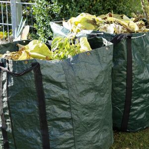 residui vegetali sono rifiuti verdi