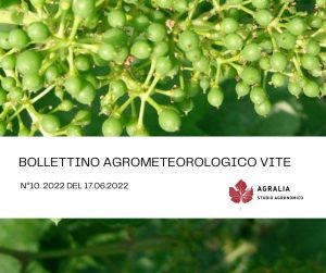 bollettino vite Agralia copertina 10