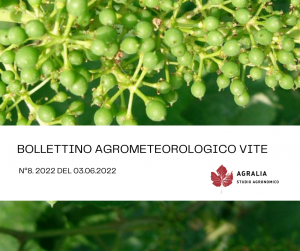 bollettino vite 8