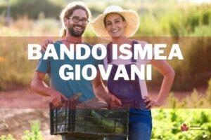 bando ismea giovani agricoltori