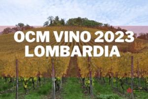 ocm vino lombardia