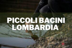 bando piccoli bacini lombardia