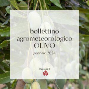 bollettino agrometeorologico