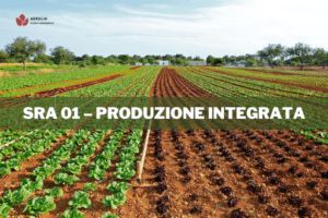 sra 01 produzione integrata