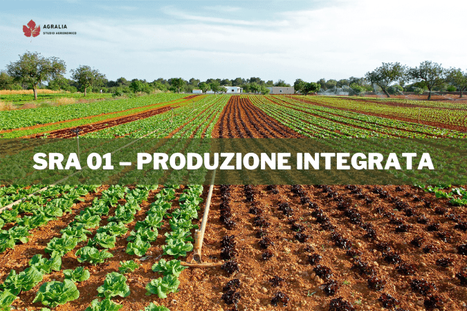 SRA 01 – PRODUZIONE INTEGRATA
