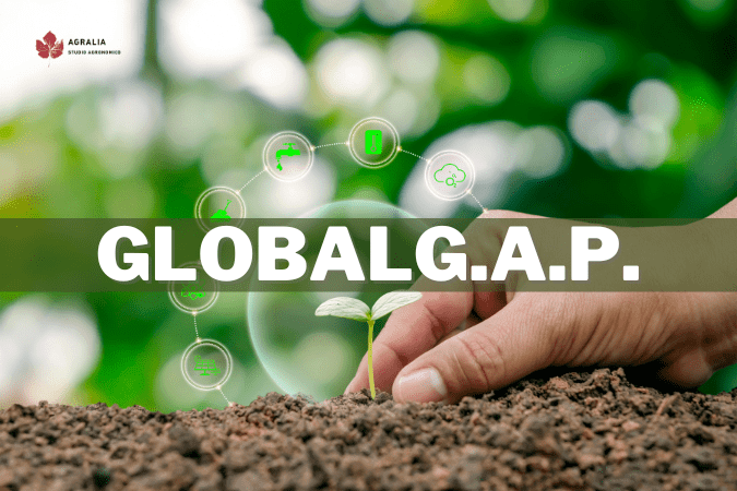 globalg.a.p.