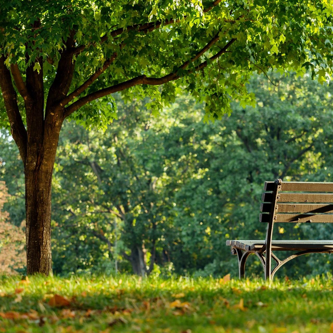 IL REGOLAMENTO DEL VERDE