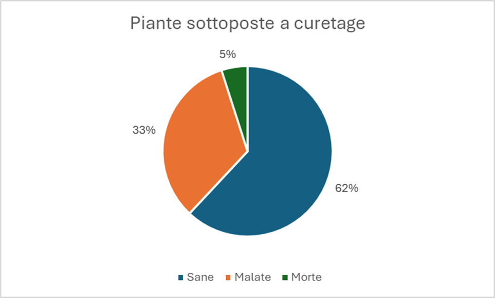 curetage grafico per sauvignon