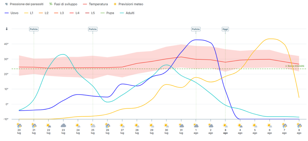 grafico tignoletta